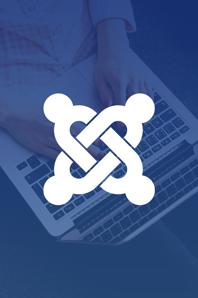 Professional Website Development with Joomla