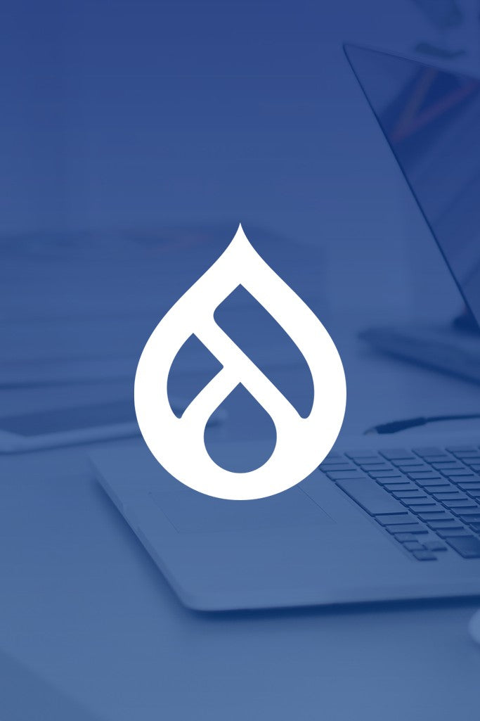 Professional Website Development with Drupal