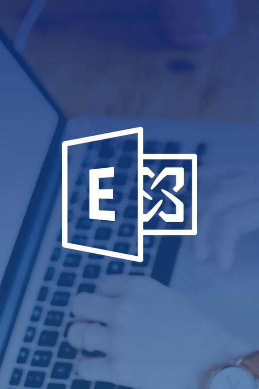 Microsoft Exchange Professional Setup