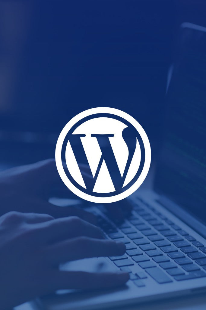 WordPress Expert for Websites - Monthly Plan